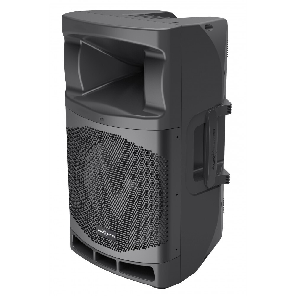 Audiocenter MA12 активная акустическая система в Воркуте