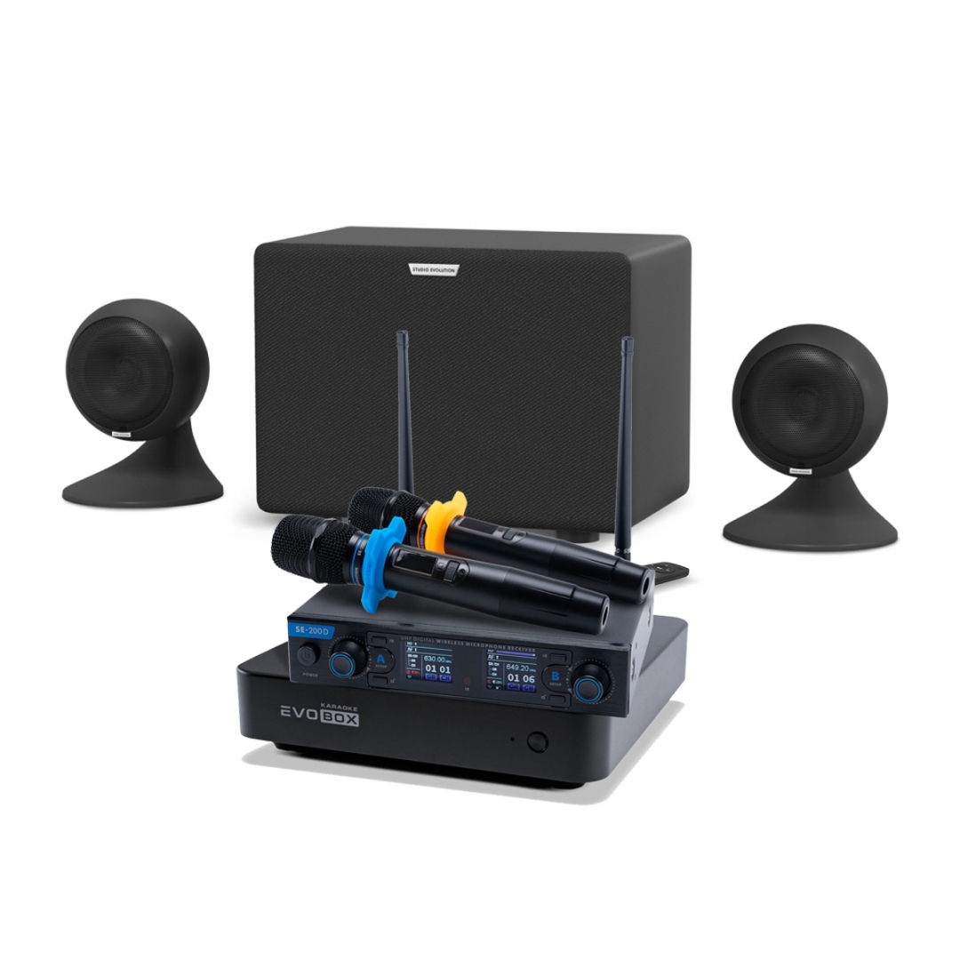 караоке-комплект EVOBOX + EvoSound Sphere 2.1 в Воркуте