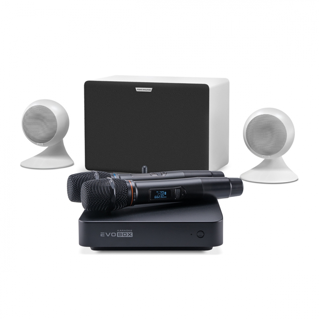 караоке-комплект EVOBOX Classic + EvoSound Sphere 2.1 в Воркуте