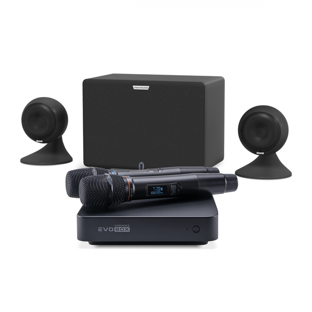 караоке-комплект EVOBOX Plus + EvoSound Sphere 2.1 в Воркуте