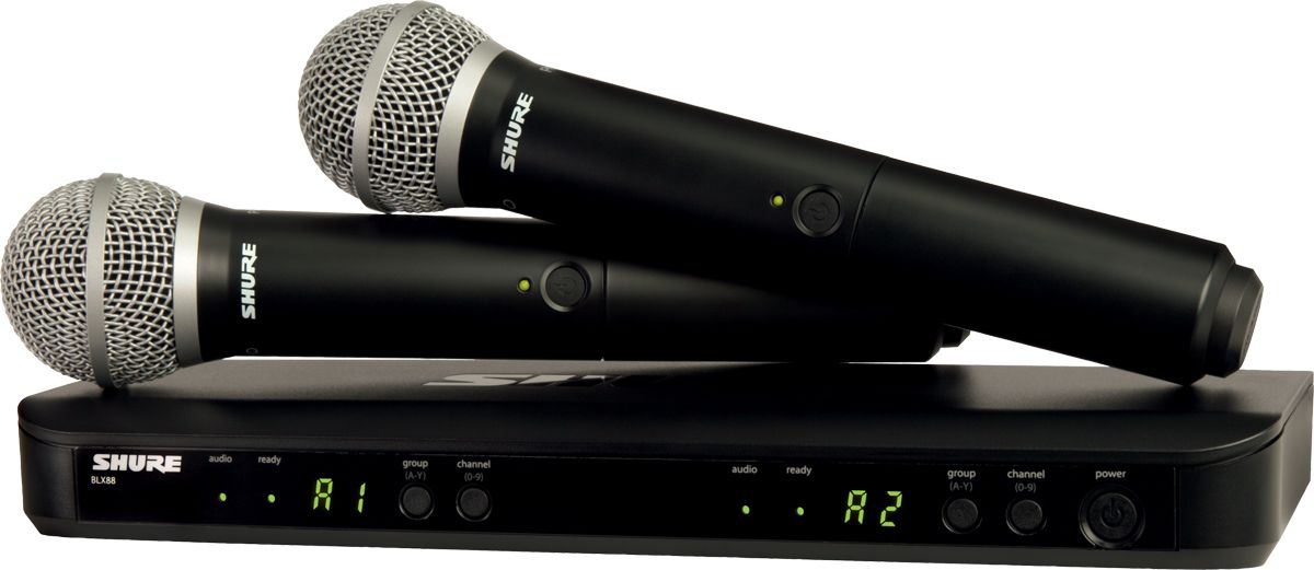 SHURE BLX288E/PG58 M17 вокальная радиосистема в Воркуте