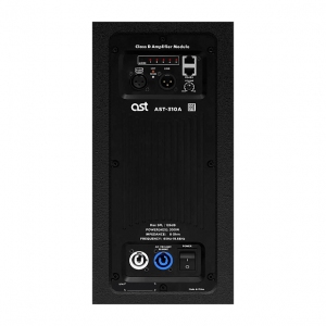 Активная акустическая система AST-310A в Воркуте