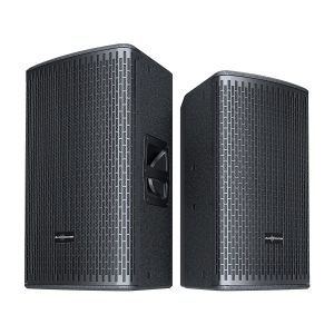 Audiocenter GT510A Активная акустическая система в Воркуте