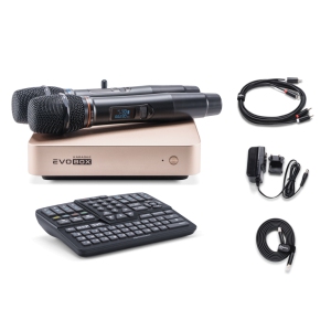 EVOBOX Classic караоке-система для дома в Воркуте