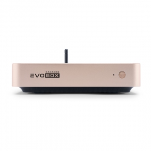 EVOBOX Plus караоке-система для дома в Воркуте
