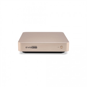 EVOBOX с микрофонами в Воркуте