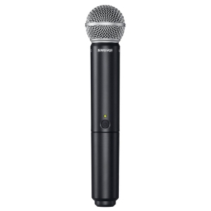 SHURE BLX288E/PG58 M17 вокальная радиосистема в Воркуте